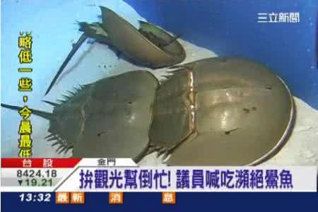 活化石 吃“活化石”