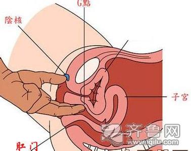 飞凡 电享更多 G点算什么 刺激她的A点享更多快感