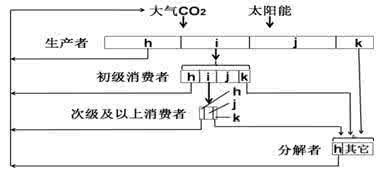 三大营养物质的转化 物质转化图的意义与教学刍议