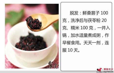 桑葚酒自酿制方法 自酿制作桑葚酒、桑葚酱、桑葚膏（20140107）