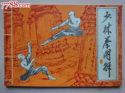 少林拳教学视频 少林拳 正宗少林八步连环腿*