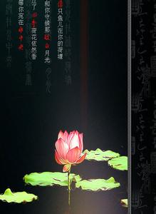 荷塘月色欣赏 【音画欣赏】荷塘月色(Flash音画)