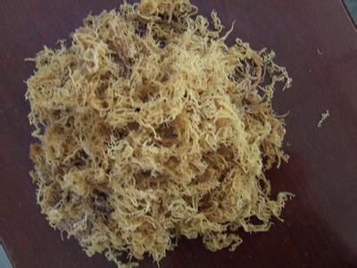 石花菜什么颜色正常 小石花菜