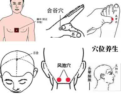 养 生 穴 位