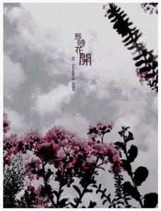 那时花开此时各自人海 那时花开，此时已落