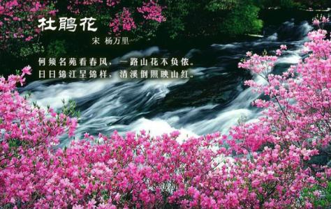 古诗词配画 中国古诗词·百花篇…【诗画配】