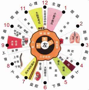 (6)虹膜学——眼诊【学习】