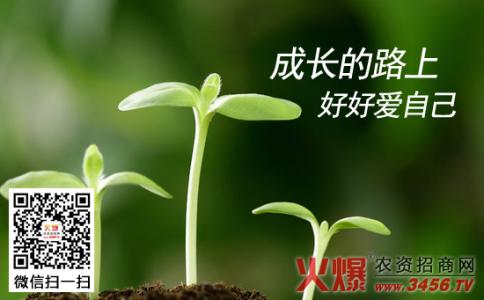 走过多久才能到春天 有些路自己走过才能成长