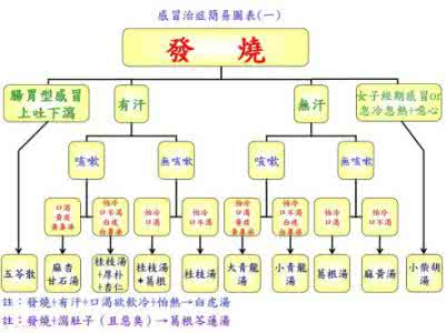 感冒治症简易图表 中医治疗感冒简易图表