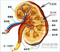 肾衰竭患者的饮食 肾衰竭的早期症状 肾衰竭的症状与饮食