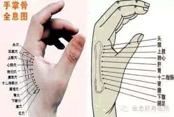 第二掌骨侧全息诊疗法 第二掌骨侧全息诊疗法 第二掌骨全息针疗法