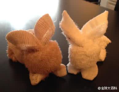 毛巾兔子的折叠方法  【毛巾兔折叠法】萌萌哒兔纸 ~你学会了吗