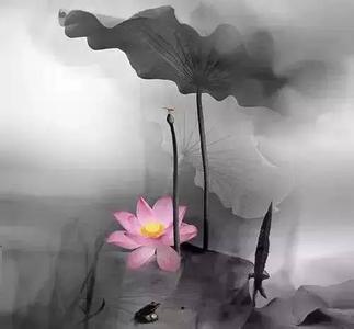 经历一些事看清一些人 当你经历一些事，才能看清一些人，看看这些话