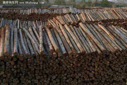 桉树木材价格 桉树木材价格 桉树木材价格是多少