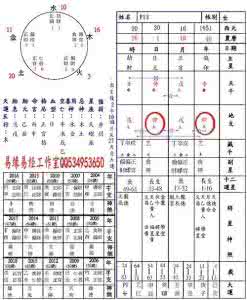 六冲六害三刑 地支、三合、三會、六合、六害、三刑各代表的意義