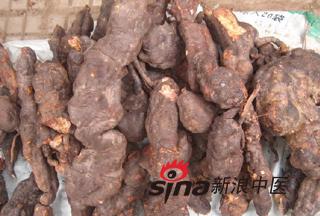 生何首乌降血脂的药理 何首乌有奇效中老年人降压降脂必知3秘方