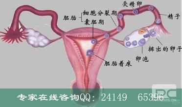 输卵管结扎手术视频 输卵管结扎术手术步骤 女输卵管结扎手术的步骤
