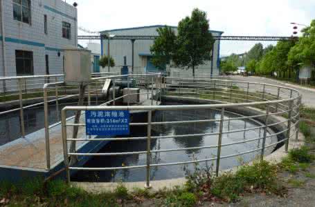 污泥浓缩脱水一体机 污泥浓缩