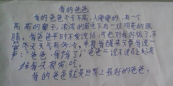 新的一页作文800字 一页作文100字