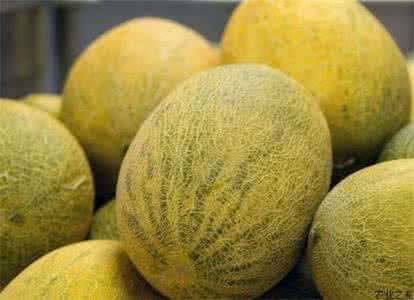 一个哈密瓜多少克 哈密瓜多少钱一个 哈密瓜多少钱一公斤