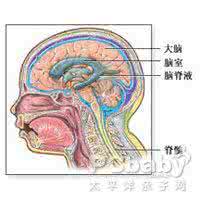 脑脊髓炎症状 脑脊髓炎 它的症状体征是什么