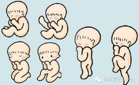 胎动什么时间频繁 胎动什么时间频繁？