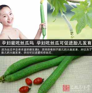 孕妇吃丝瓜有什么好处 孕妇能吃丝瓜吗？孕妇吃丝瓜有什么好处