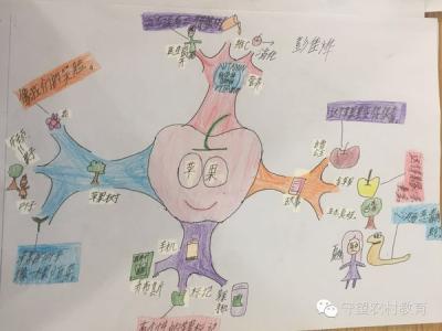 孩子学思维导图有用吗 思维导图这么火！自己也可以帮孩子学起来