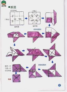 书信折纸 书信折纸 好多哦