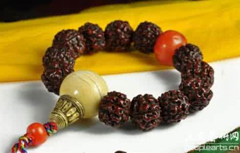 金刚菩提子真假分别 金刚菩提子的真假 金刚菩提子知识