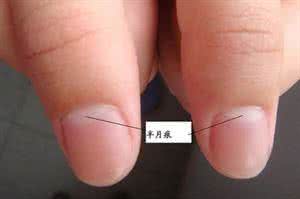 中医养生资讯 【一点资讯】中医教你如何“观甲识病”！ (Yidianzixun.com)