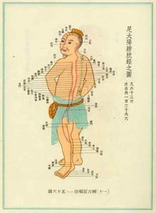 膀胱经和肾经 膀胱经与肾经大药房