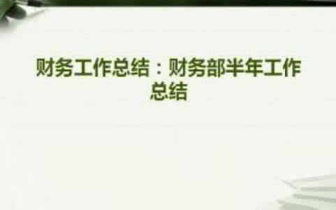项目申报 项目申报年终总结