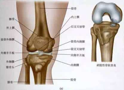 膝关节积液养护 膝关节积液养护 关节全方位的养护方案