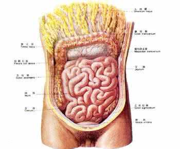 慢性结肠炎有哪些症状 慢性结肠炎症状 它有哪些临床表现