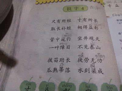 描写叶子绿的成语 描写叶子的成语