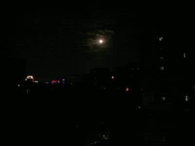 城里的月光 城里月光