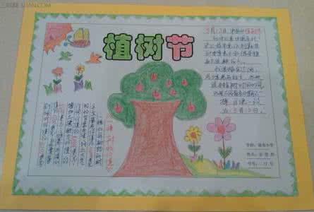 银杏树图片 小学生植树节手抄报图片大全