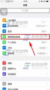 苹果ipad热点怎么开启 苹果iPhone6S怎么开启个人热点