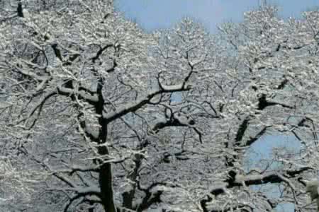 外网钩针魔术花型模式 钩针模式----“雪花飞舞”