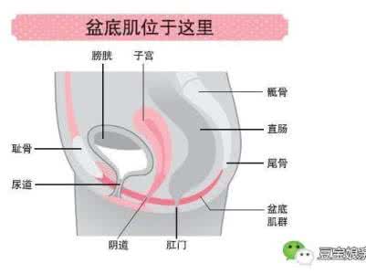 眼皮松弛怎么恢复 阴道松弛影响性质量，如何快速恢复？：知名日本性学专家：中森