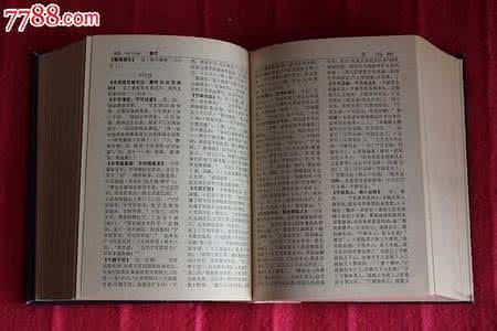 中国成语大辞典 四字成语详解大辞典（四八）