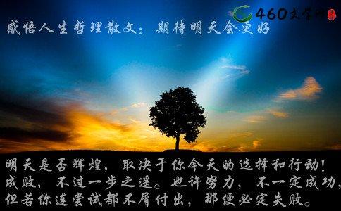 人生哲理故事及感悟 人生哲理感悟：世上的事，有顺，有逆；人生的情，有喜，有悲。顺境，不要得意狂妄，逆境，不要气馁绝望。