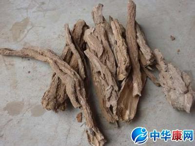 地骨皮的功效与作用 地骨皮的功效与作用及食用方法 地骨皮的功效与作用及食用方法详解