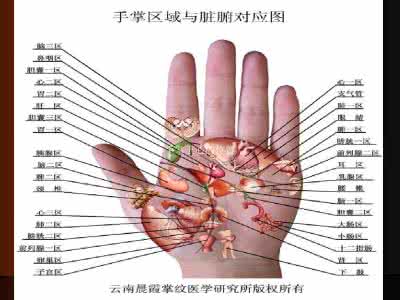 王晨霞掌纹诊病治病 王晨霞《掌纹诊病