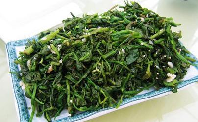 长白山山野菜的价值 山野菜的营养价值