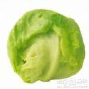 圆生菜的营养价值 圆生菜的营养价值 圆生菜的营养价值有哪些?