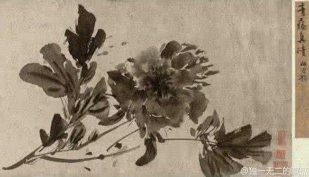 徐渭杂花图卷 徐渭《杂花图》卷