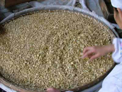 安庆蚕豆酱制作方法 蚕豆酱家庭制作技术