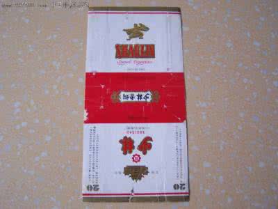 中国摇钱古卜讲义 摇钱古卜讲义最终版 当代少林十讲(最终版)